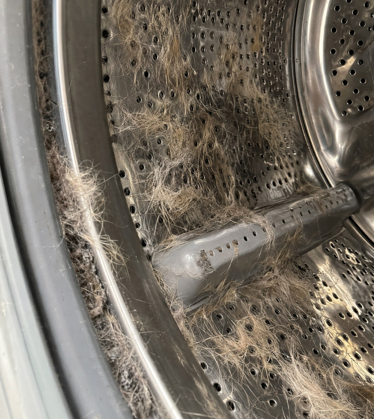 Illustration of a stainless washer drum covered in clumps of pet hair, before