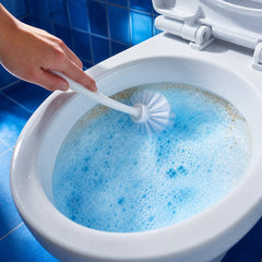X-All Foaming Toilet Cleaner: Lightly Brush Waterline