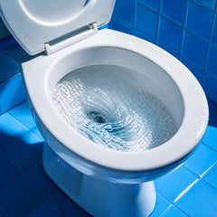 X-All Foaming Toilet Cleaner: Clean Flush Result
