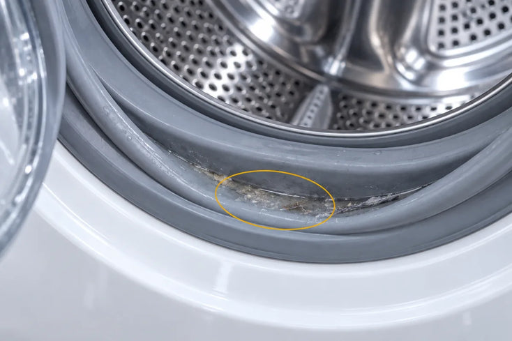 The door seal channel with pooled water and grime in the fold, circled