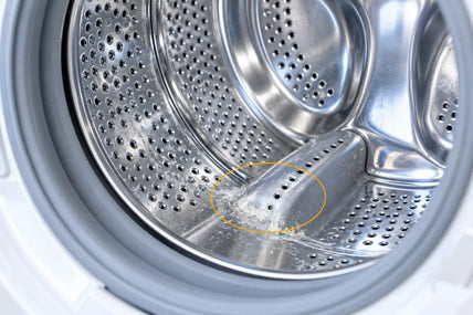 Inside the drum, hard-water scale on a paddle, circled