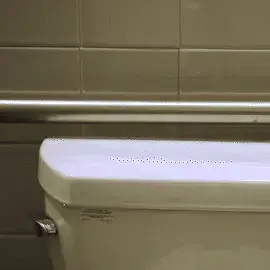 Flush & Reveal the shine