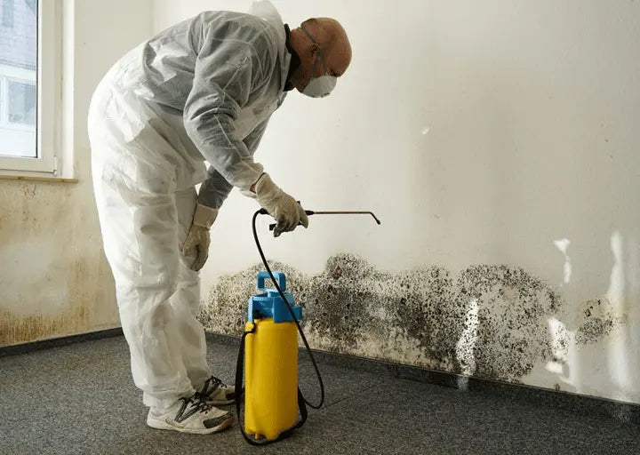 <strong>Bleach spray</strong>