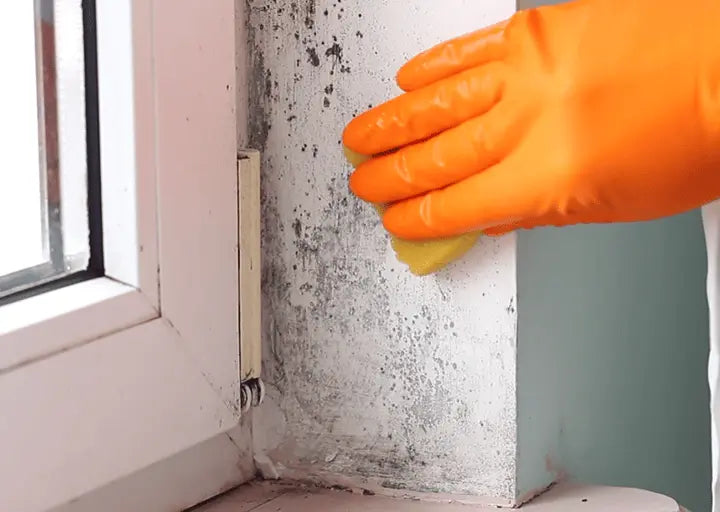 <strong>Regular cleaners</strong>