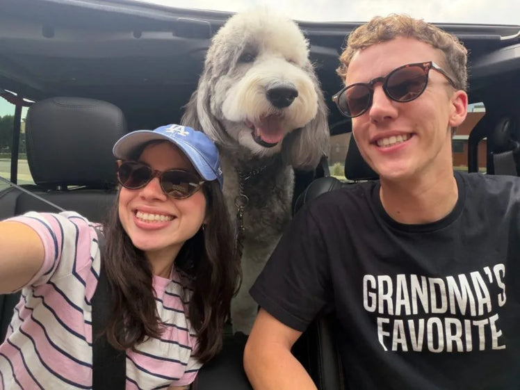 Two team members in an open-top Jeep with their sheepdog between them
