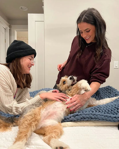 Two team members laughing while giving a scruffy terrier mix a belly rub