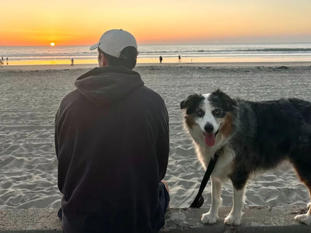 A team member watching the sunset with his Australian shepherd on the seawall