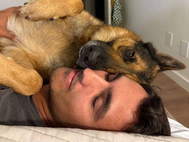 A team member napping with his German shepherd sprawled across him