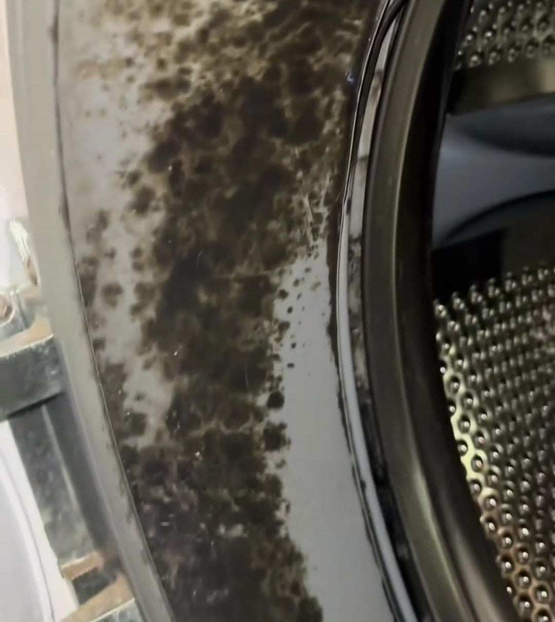 Washer door seal covered in dark mold and mildew spots, before cleaning