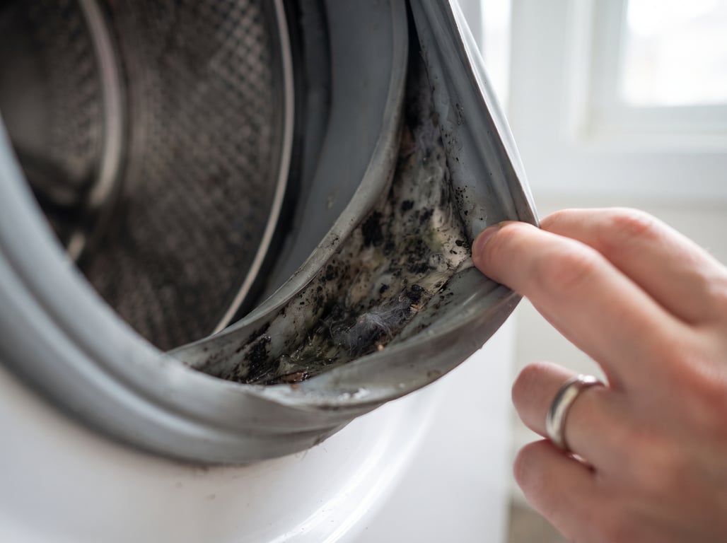 A hand pulling back a front-loader door seal to show black gunk in the fold