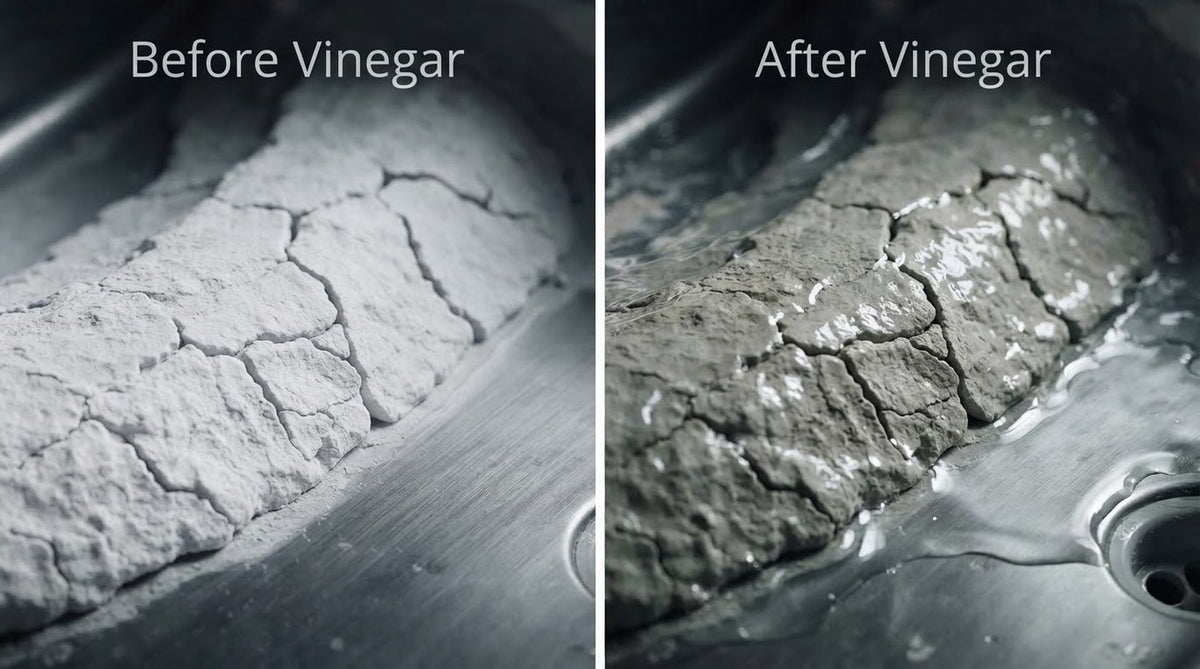 Crusted drum surface before and after vinegar, barely changed, labeled Before Vinegar and After Vinegar